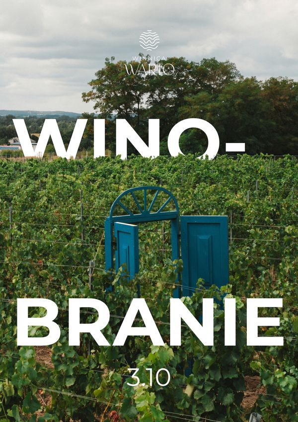WINOBRANIE 03.10 - bilet wstępu 