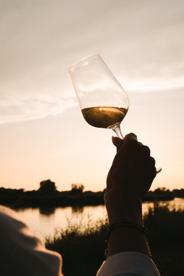 WINOBRANIE 03.10 - bilet wstępu 