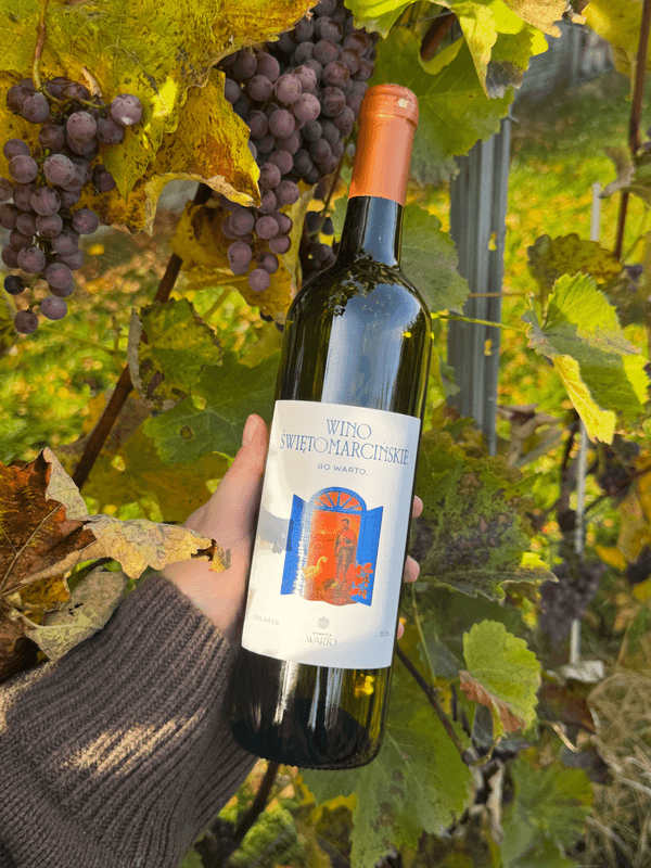 Wino Świętomarcińskie półwytrawne 2025